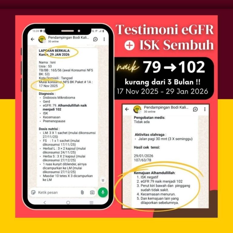 D Ginjal ISK