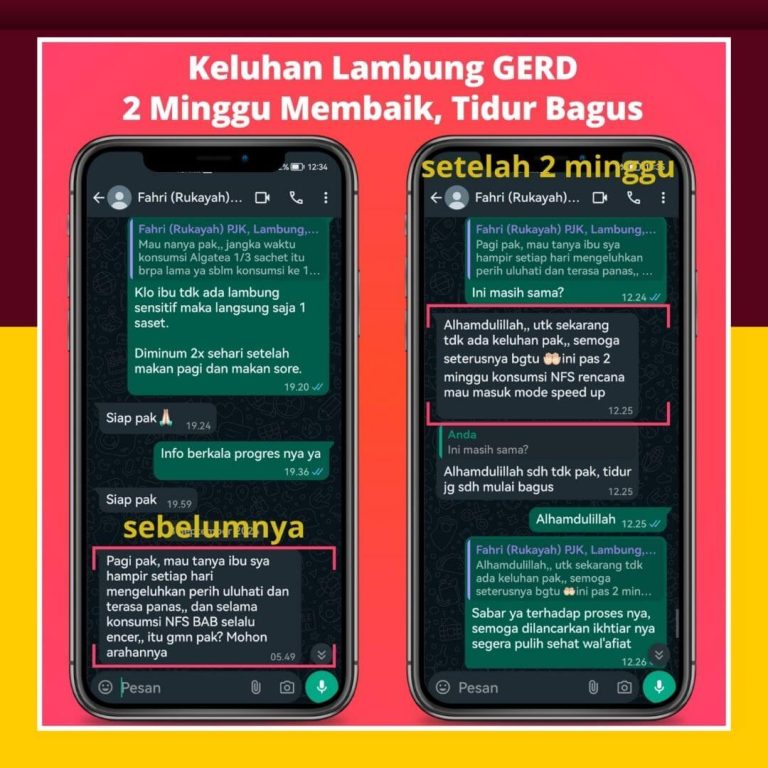 Lambung 2
